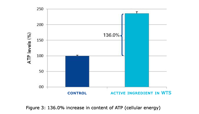 Figure 3 INCREASED ATP cellular energy