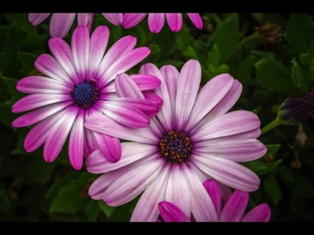 Self love video for skincare.