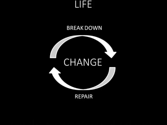 Rehabilitate your skin with skinpt.